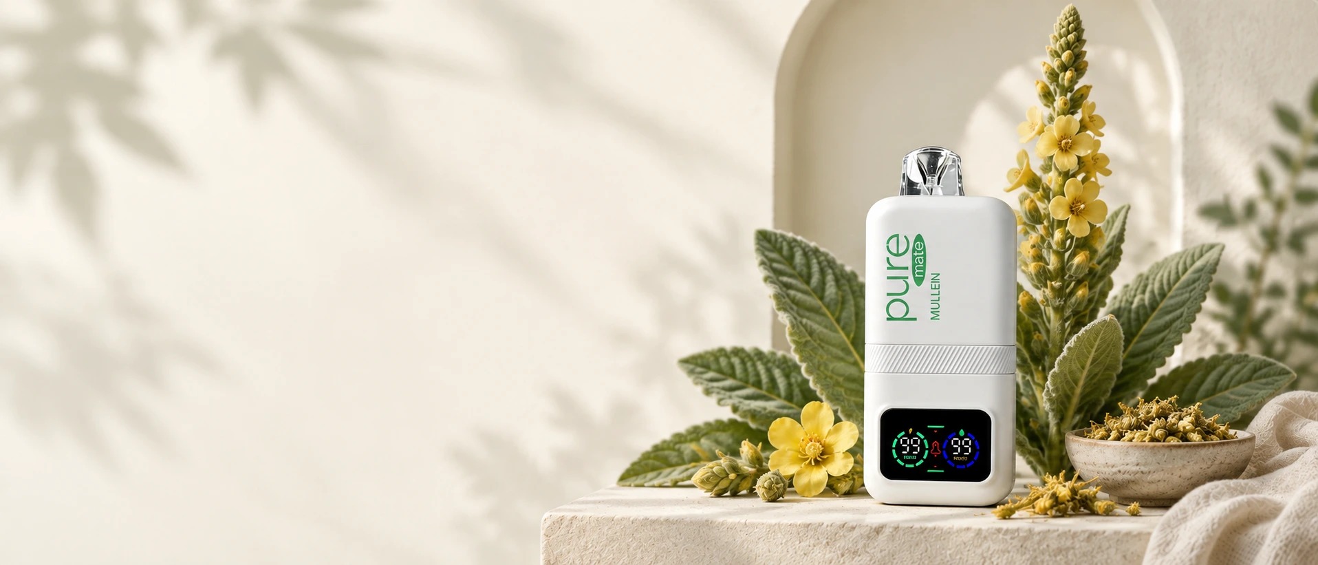 Modern nicotine-free mullein inhaler product shown with botanical mullein elements